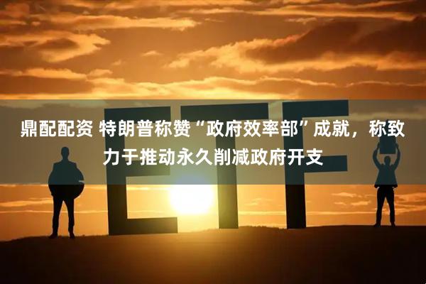 鼎配配资 特朗普称赞“政府效率部”成就，称致力于推动永久削减政府开支