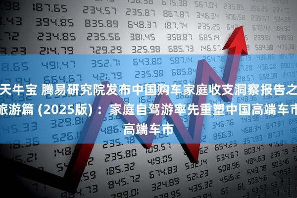 天牛宝 腾易研究院发布中国购车家庭收支洞察报告之旅游篇 (2025版) ：家庭自驾游率先重塑中国高端车市