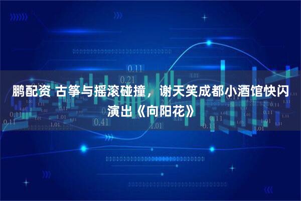 鹏配资 古筝与摇滚碰撞，谢天笑成都小酒馆快闪演出《向阳花》