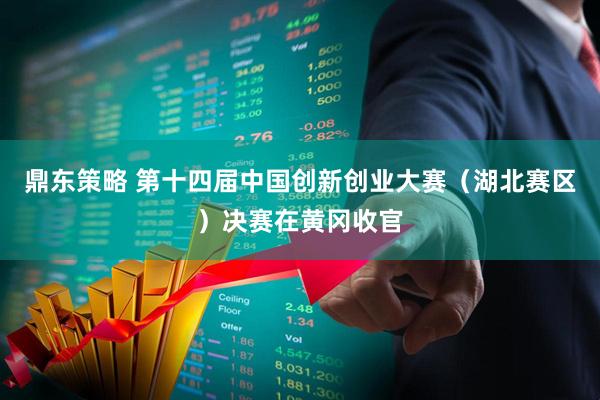 鼎东策略 第十四届中国创新创业大赛（湖北赛区）决赛在黄冈收官