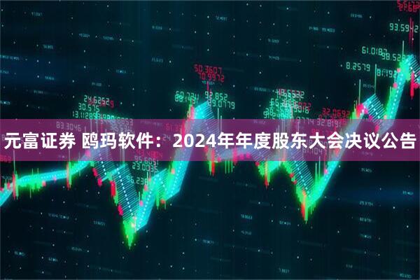 元富证券 鸥玛软件：2024年年度股东大会决议公告