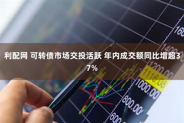 利配网 可转债市场交投活跃 年内成交额同比增超37%